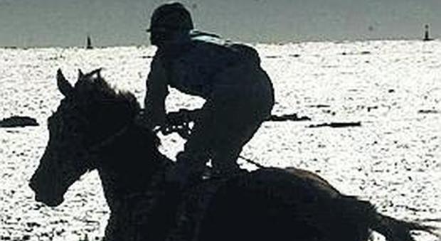 Cavalli nella riserva di Lago Patria, due denunce dai carabinieri forestali