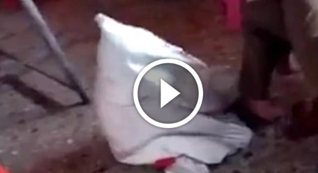 Bimba chiusa in un sacco e torturata dalla nonna: il video choc apre un'indagine