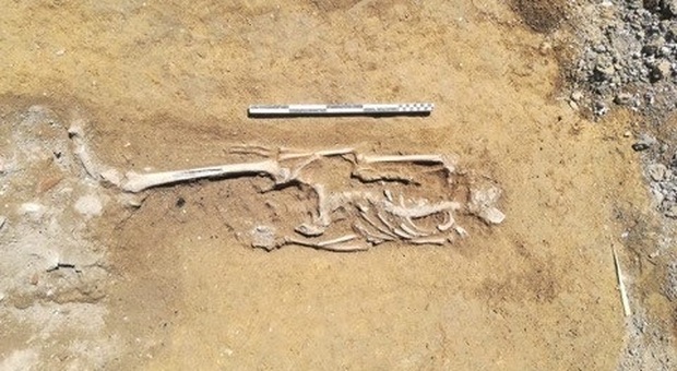 Senigallia, scheletri nell'ex mulino: spunta una necropoli dal cantiere