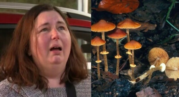 Cucina funghi velenosi, morti 3 parenti: la donna aveva invitato anche l'ex marito al pranzo (ma non si è presentato)