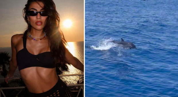 Giulia Salemi e l'emozione per i delfini: «Li ho visti per la prima volta e mi sono commossa»