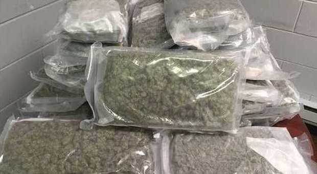 Spedisce 20 kg di marijuana all'indirizzo sbagliato, la polizia cerca il 'proprietario' su Facebook