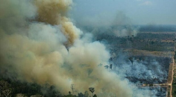Amazzonia, l'allarme dell'Ong: «Ad agosto deforestazione ai massimi da 10 anni»