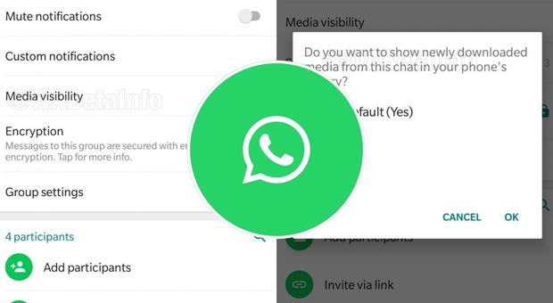 WhatsApp, la nuova funzione in arrivo: ora sarà possibile nascondere le foto ricevute in chat