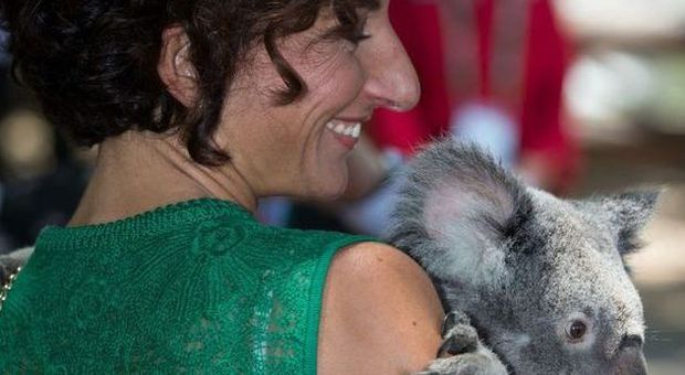 Agnese Renzi tricolore in rosso e verde in missione in Australia per il G20 prende in braccio un koala