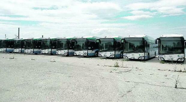 Autobus Actv nuovi di zecca fermi da settimane nelle Terre Perse del Lido