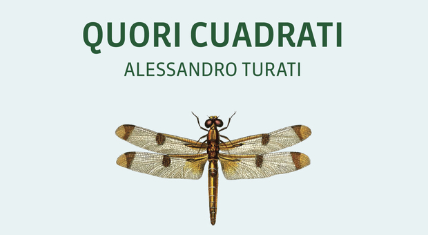 Alessandro Turati e «Quori cuadrati», una storia d'amore tra reale e surreale