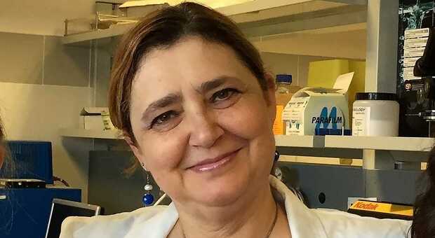 Muore a Perugia la professoressa Ursula Grohmann, luminare nella lotta a tumori e malattie autoimmuni