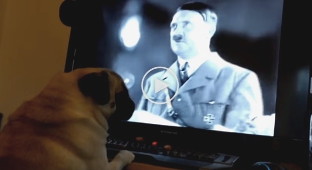 Insegna il saluto nazista al cane della fidanzata e pubblica il video su Youtube