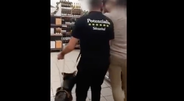«Esci di qui, non è igienico», ipovedente e il suo cane guida cacciati con la forza dal supermercato