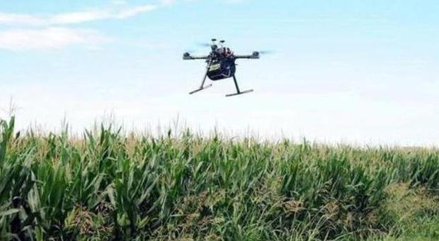 Un drone nel delta del Po per combattere i bracconieri