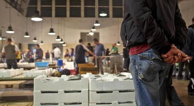 Blitz al mercato ittico di Salerno: scoperti 15 venditori fuorilegge