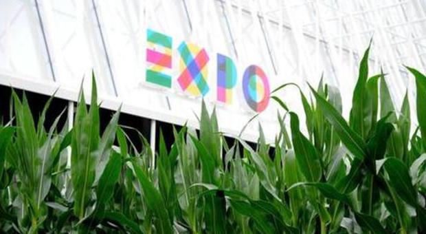 La Francia sbarca all'Expo, padiglione sostenibile in legno da smontare e rimontare