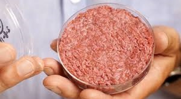 Usa, via libera alla carne prodotta in laboratorio