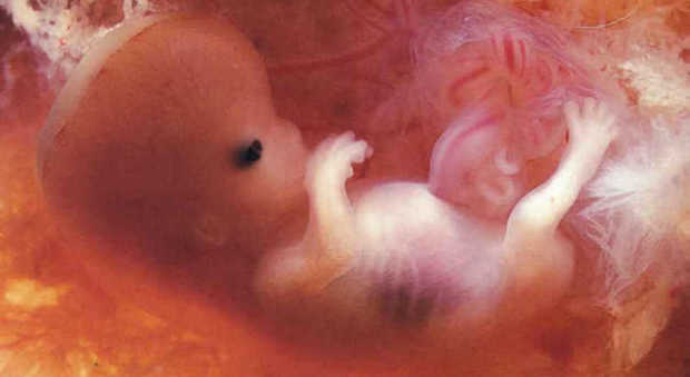 Dna, modificati per la prima volta embrioni umani: "Per prevenire malattia cardiaca"