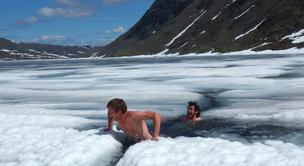 Isole Svalbard sempre più al caldo: verso il record assoluto della temperatura, ecosistema a rischio