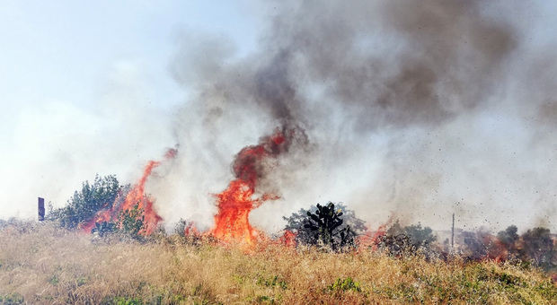 Salento, rifiuti abbandonati e incendiati: due persone beccate dalle fototrappole e denunciate