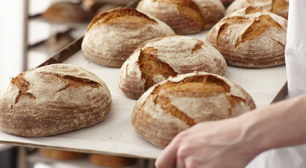 Il pane in quarantena torna quotidiano: il consumo pro-capite è cresciuto del 10 per cento