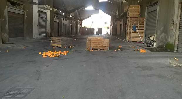 Pagani, blitz al mercato ortofrutticolo: sequestrati oltre duecento chili di droga, nascosta tra le arance