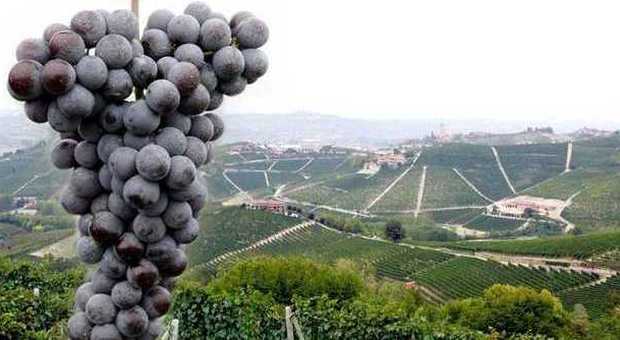 Langhe e Monferrato patrimonio dell'Unesco: la prima volta del vino