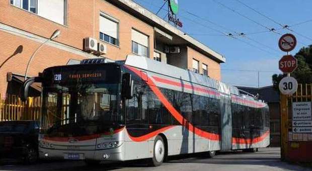 Ancona, l'asfalto cede in una fermata Tutti i filobus fermi da una settimana