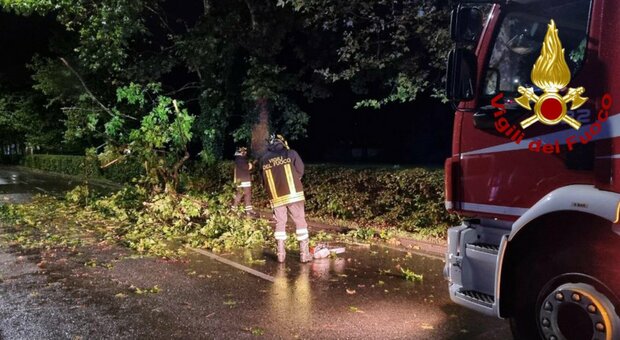 Maltempo, esce di strada durante il temporale e si schianta con l'auto: un morto in Friuli. Allerta piogge e vento a 130 km/h