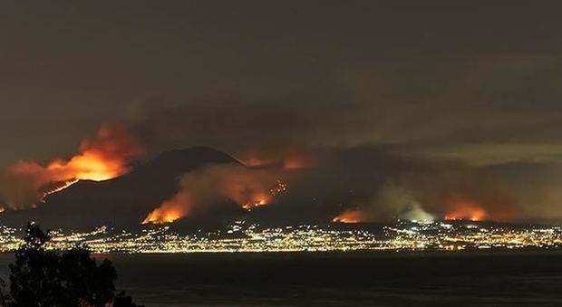 Incendi sul Vesuvio: animali vivi usati per estendere le fiamme