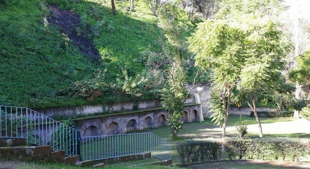 Napoli: #Pianta3 al Parco Viviani, ecco cinque alberi da frutto