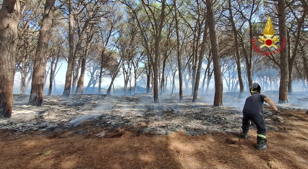 I vigili del fuoco spengono il rogo nella pineta a Baia Domizia