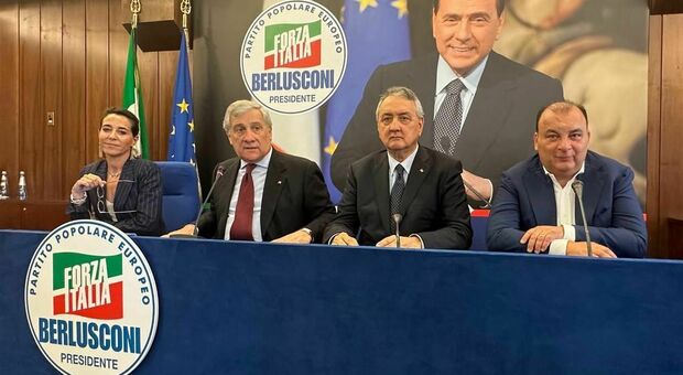 Riunione dei gruppi azzurri di Forza Italia