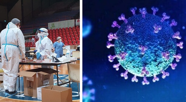 Coronavirus, nuovo picco nelle Marche: 616 positivi, non erano così tanti da inizio gennaio