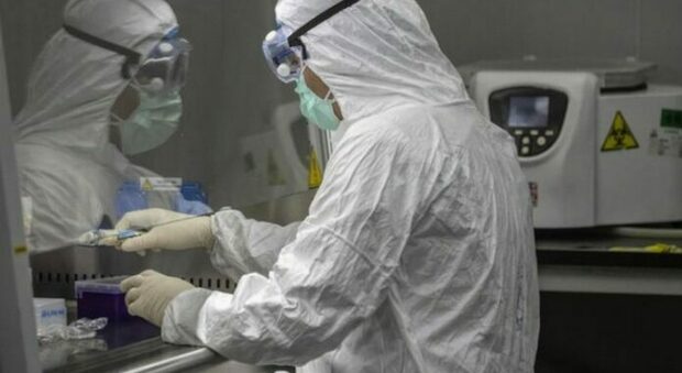 Coronavirus in Italia: 8.085 nuovi positivi e 201 morti nelle ultime 24 ore