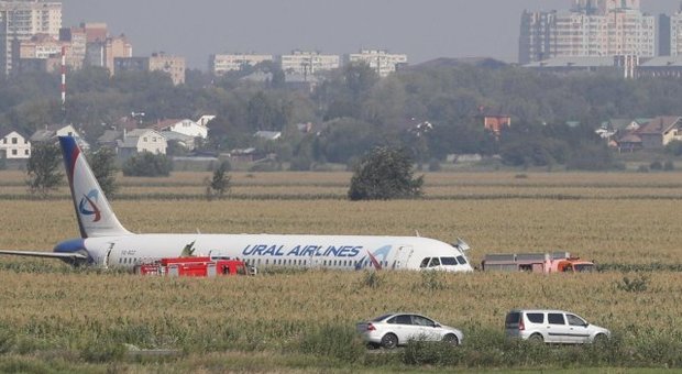 Aereo A321 Ural Airlines atterra su campo in Russia: 23 feriti. Scontro con stormo di gabbiani dopo il decollo