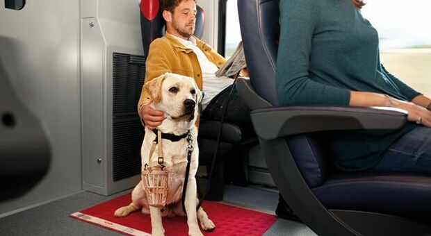 Italo, novità per chi viaggia con i cani