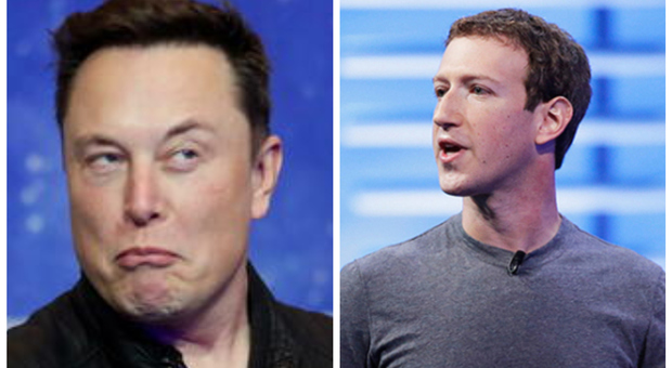 Lite via social tra Elon Musk e Mark Zuckerberg: «Ci vediamo nella gabbia...»
