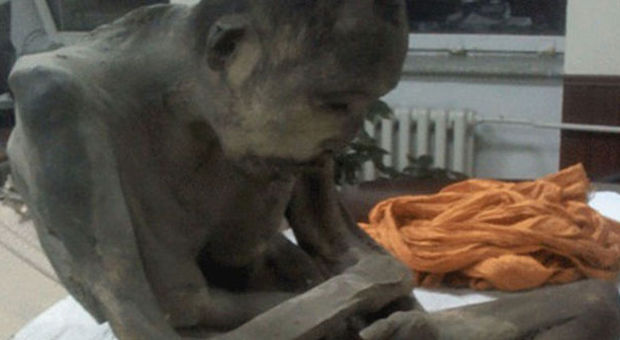 La mummia del monaco in meditazione (Siberian Times)