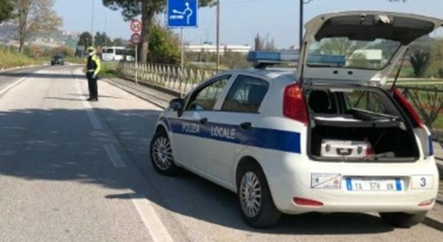 Ancona, ubriaco maltratta un cane e manda all'ospedale un vigile: multa e denuncia
