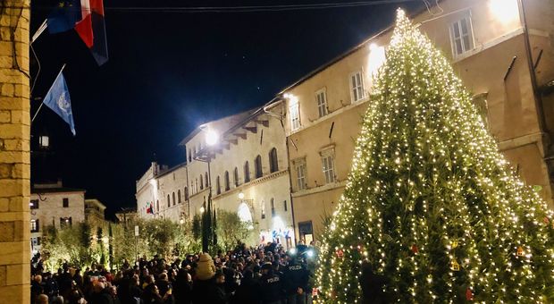 L'albero ad Assisi