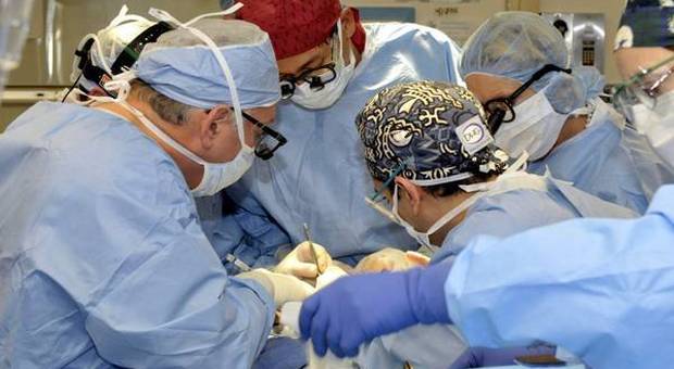 Un ago di rosmarino le perfora l'intestino: operata d'urgenza, 57enne salva per miracolo