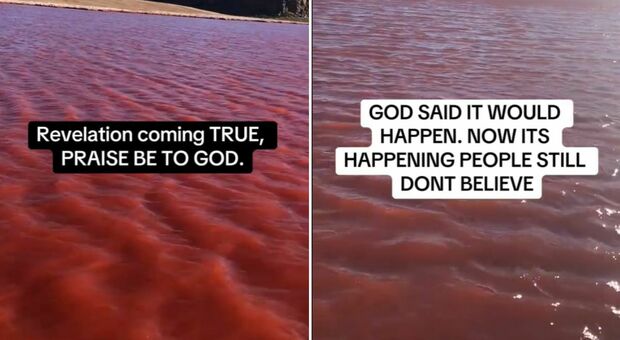 Nilo, le acque si tingono di rosso (come nella prima piaga d'Egitto). «Punizione divina». Ma c'è una spiegazione scientifica