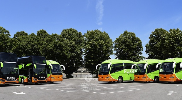 Elezioni, Flixbus contro l'astensionismo: «Rimborsiamo il viaggio di andata». Ecco come fare