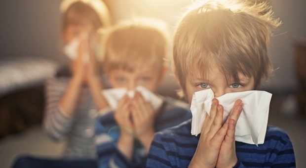 Allergia nei bambini, la causa è nei batteri dell'intestino: lo studio dell'Università Federico II di Napoli