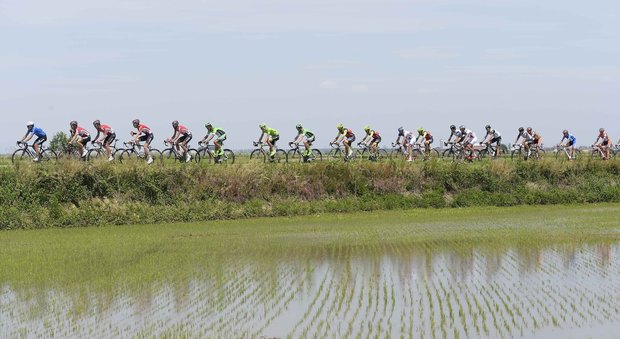 Giro d'Italia, Matteo Trentin vince allo sprint: battuti Moser e Brambilla