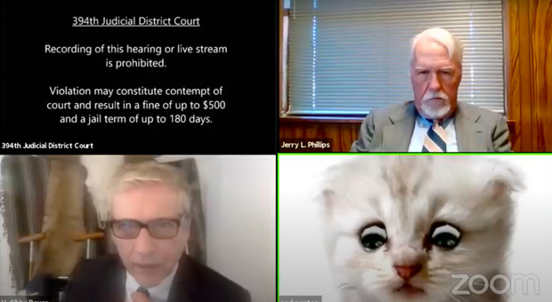 L'avvocato sbaglia filtro su Zoom all'udienza e si "trasforma" in un gatto: il giudice reagisce così Video