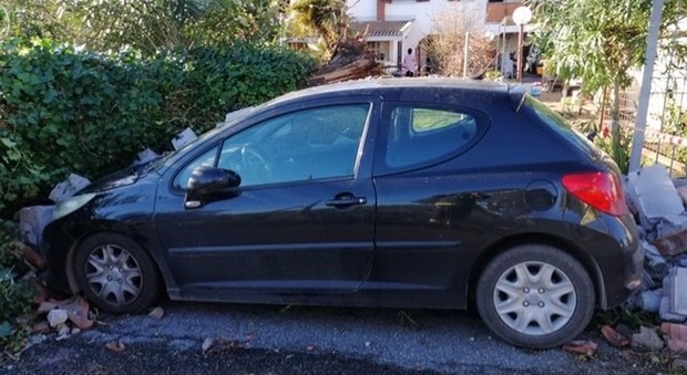 Roma, Albero crolla sull’auto in sosta: nessun ferito