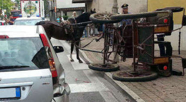 ​Cavalli imbizzarriti contro lo stand Panico alla festa in paese: 2 feriti
