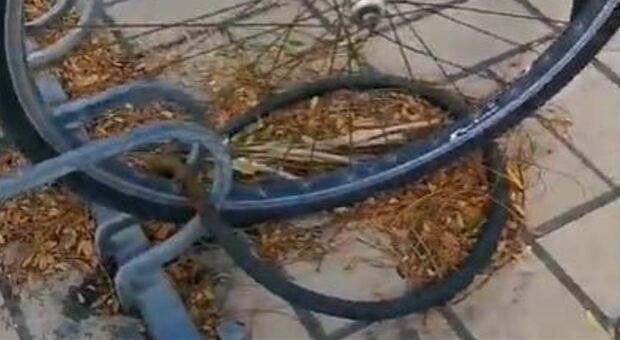 Porto San Giorgio, la nuova moda dei ladri di biciclette: rubano i telai, lasciano le ruote fissate con la catena