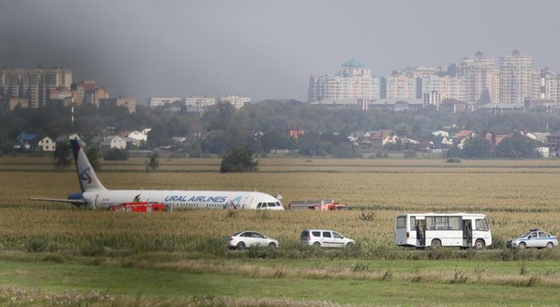 L'aereo in decollo si scontra contro stormo di gabbiani: ci sono 23 feriti