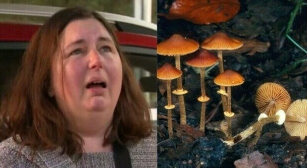 Casalinga invita a pranzo i parenti e cucina funghi velenosi: tre di loro sono morti, lei si è salvata. Si indaga per omicidio colposo