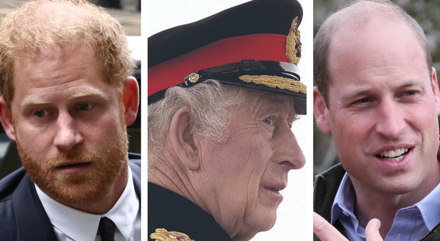 Harry, William e Carlo: «ecco chi dei tre papà è il più affettuoso»